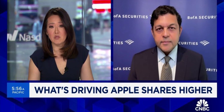 BofA’s Wamsi Mohan on why he’s raising Apple’s price target BofA’s Wamsi Mohan on why he’s raising Apple’s price target