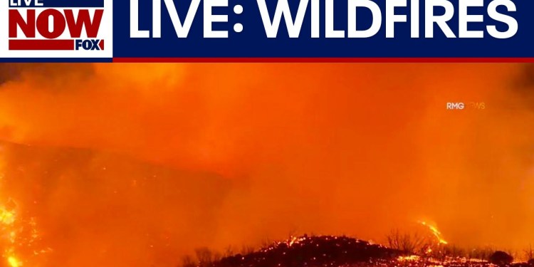 LIVE: LA Wildfire in California, Palisades evacuated, Eaton fire, Pasadena homes burn, news updates LIVE: LA Wildfire in California, Palisades evacuated, Eaton fire, Pasadena homes burn, news updates