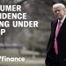 Consumer confidence drops amid Trump presidency Consumer confidence drops amid Trump presidency
