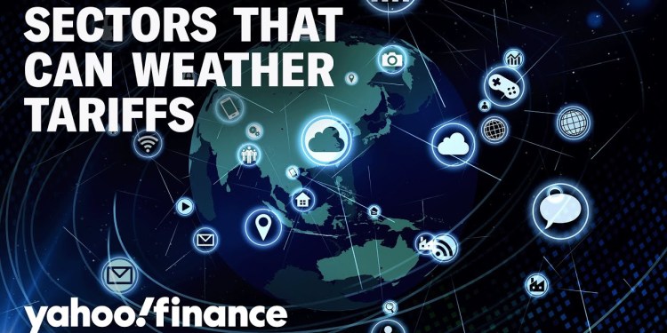 Investing opportunities: How to look for companies that can adapt to tariffs Investing opportunities: How to look for companies that can adapt to tariffs