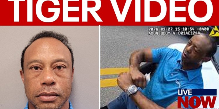 Tiger Woods arrest: Body cam video released Tiger Woods arrest: Body cam video released