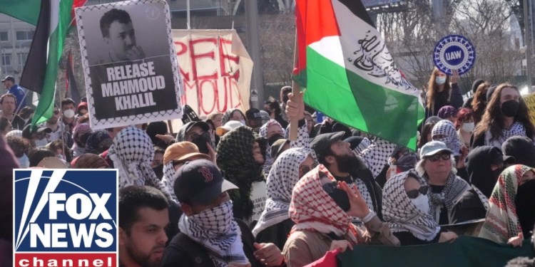 BREAKING: Trump admin revokes 300+ student visas: ‘Lunatics’ BREAKING: Trump admin revokes 300+ student visas: ‘Lunatics’