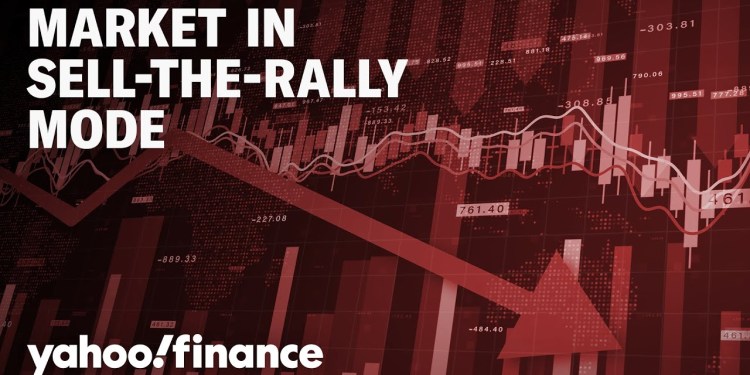 Investors adopting a sell-the-rally mentality: JPMorgan Investors adopting a sell-the-rally mentality: JPMorgan