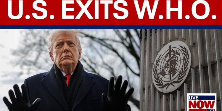 US leaves World Health Organization over handling of COVID-19 US leaves World Health Organization over handling of COVID-19