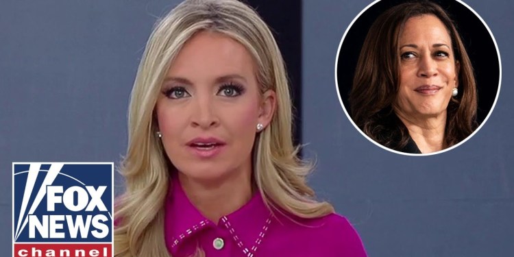 McEnany: This is a TOTAL indictment of the press McEnany: This is a TOTAL indictment of the press