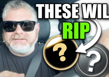 2 Coins You MUST Have In Your Portfolio BEFORE The 2024 BULL RUN 2 Coins You MUST Have In Your Portfolio BEFORE The 2024 BULL RUN