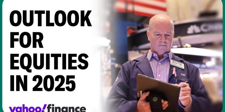 Large-cap stocks are an investor’s ‘best friend’: Portfolio manager Large-cap stocks are an investor’s ‘best friend’: Portfolio manager