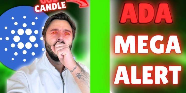 CARDANO ADA HERE IT COMES!!!!! BLACKROCK IS BUYING… CRYPTO ALTCOINS EXPLODING. XRP PUMP CARDANO ADA HERE IT COMES!!!!! BLACKROCK IS BUYING… CRYPTO ALTCOINS EXPLODING. XRP PUMP
