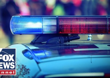 Panelists square off in HEATED debate over crime crackdown Panelists square off in HEATED debate over crime crackdown