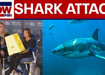 9-year-old bit by shark off Florida beach, has emergency surgery 9-year-old bit by shark off Florida beach, has emergency surgery
