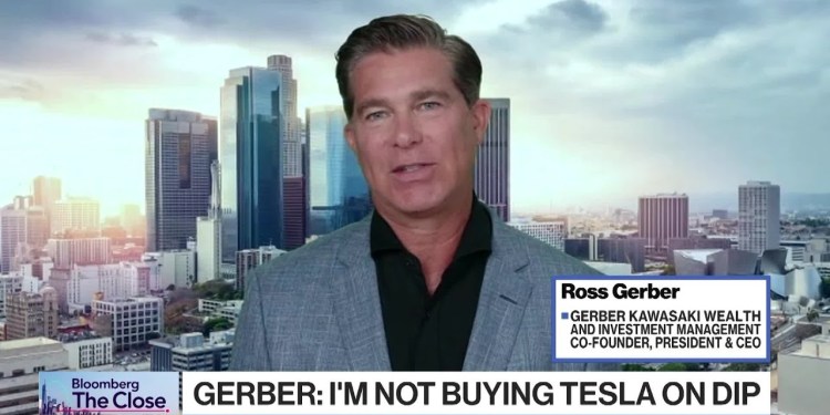 Musk Is Completely Neglecting Tesla, Ross Gerber Says Musk Is Completely Neglecting Tesla, Ross Gerber Says