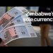 Zimbabwe’s ZiG to Become Country’s Sole Currency Zimbabwe’s ZiG to Become Country’s Sole Currency