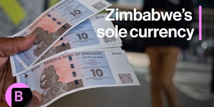 Zimbabwe’s ZiG to Become Country’s Sole Currency Zimbabwe’s ZiG to Become Country’s Sole Currency