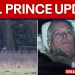 Former Prince Andrew released from custody Former Prince Andrew released from custody