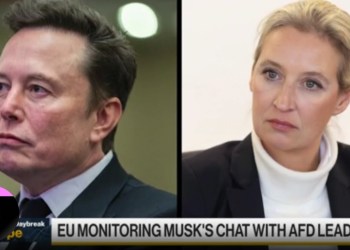 Musk’s Conversation on X With AfD’s Weidel: Here’s What We Learned Musk’s Conversation on X With AfD’s Weidel: Here’s What We Learned