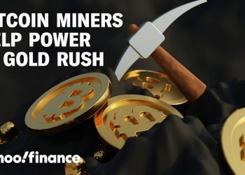 Bitcoin miners pivot to power AI future Bitcoin miners pivot to power AI future