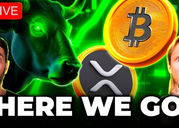 Crypto News: Bull Market Back On?! XRP’s BIG Move, SEC Changes & More! Crypto News: Bull Market Back On?! XRP’s BIG Move, SEC Changes & More!