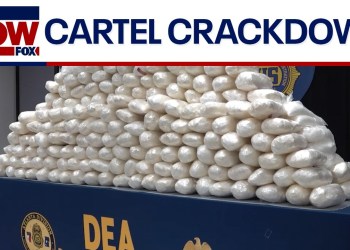 Cartel Crackdown: New DEA lab targets drug traffickers Cartel Crackdown: New DEA lab targets drug traffickers
