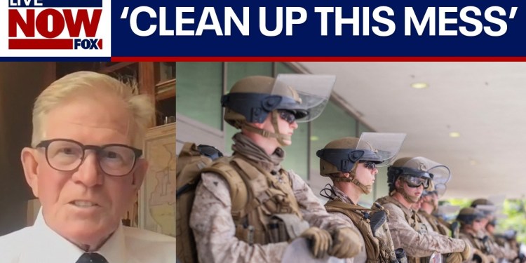 National Guard to Chicago: GOP state rep supports President Trump’s plans National Guard to Chicago: GOP state rep supports President Trump’s plans