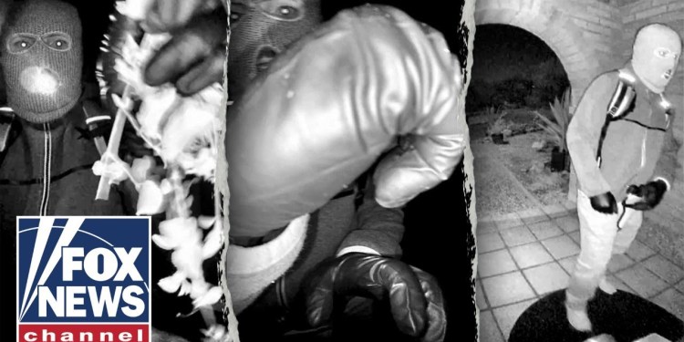 Ex-FBI agent says motive in Guthrie case must be ‘explored’ further Ex-FBI agent says motive in Guthrie case must be ‘explored’ further