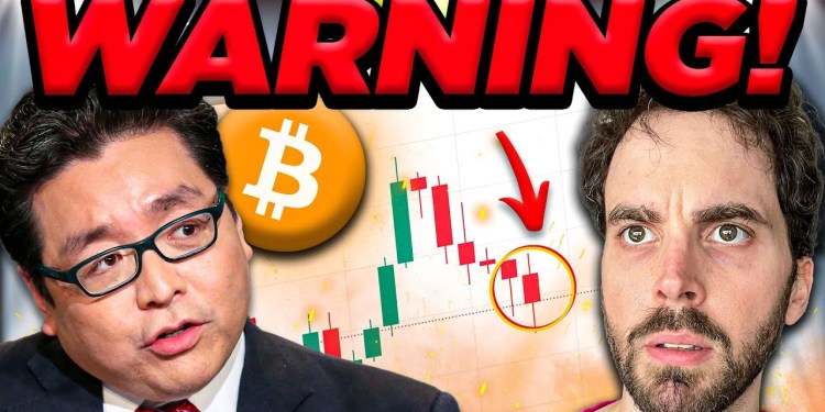 Tom Lee REVEALS 2024 US Election & Bitcoin PREDICTION Tom Lee REVEALS 2024 US Election & Bitcoin PREDICTION
