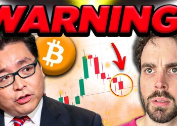 Tom Lee REVEALS 2024 US Election & Bitcoin PREDICTION Tom Lee REVEALS 2024 US Election & Bitcoin PREDICTION
