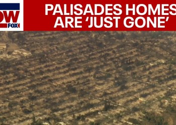 PALISADES HOMES GONE: California fires wipe out 1,000 homes as new SkyFOX video show losses PALISADES HOMES GONE: California fires wipe out 1,000 homes as new SkyFOX video show losses