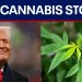 Cannabis stocks surge after reports that Trump may reclassify the drug this week Cannabis stocks surge after reports that Trump may reclassify the drug this week