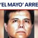 Mexico’s Sinaloa cartel leader ‘El Mayo’ arrested in US | LiveNOW from FOX Mexico’s Sinaloa cartel leader ‘El Mayo’ arrested in US | LiveNOW from FOX