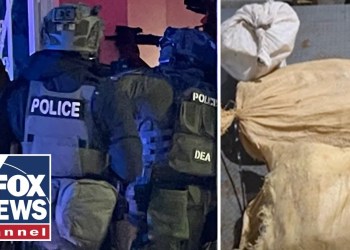 ‘The people of Denver woke up to a safer city,’ says DEA special agent on Colorado raid ‘The people of Denver woke up to a safer city,’ says DEA special agent on Colorado raid