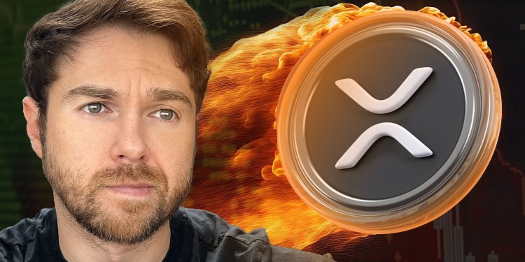 Ripple Explained: What You Need to Know About XRP, RLUSD, and Ripple’s M Power Play Ripple Explained: What You Need to Know About XRP, RLUSD, and Ripple’s M Power Play