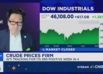 Tom Lee: Any pullbacks since April 2025 have been really shallow Tom Lee: Any pullbacks since April 2025 have been really shallow