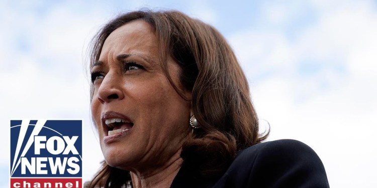 ‘Nothing to show for it’: Harris’ billion-dollar campaign accrues  million in debt ‘Nothing to show for it’: Harris’ billion-dollar campaign accrues  million in debt