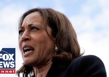 ‘Nothing to show for it’: Harris’ billion-dollar campaign accrues million in debt ‘Nothing to show for it’: Harris’ billion-dollar campaign accrues million in debt