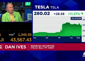 Elon Musk’s big bet on Trump is a home run for Tesla, says Wedbush’s Dan Ives Elon Musk’s big bet on Trump is a home run for Tesla, says Wedbush’s Dan Ives