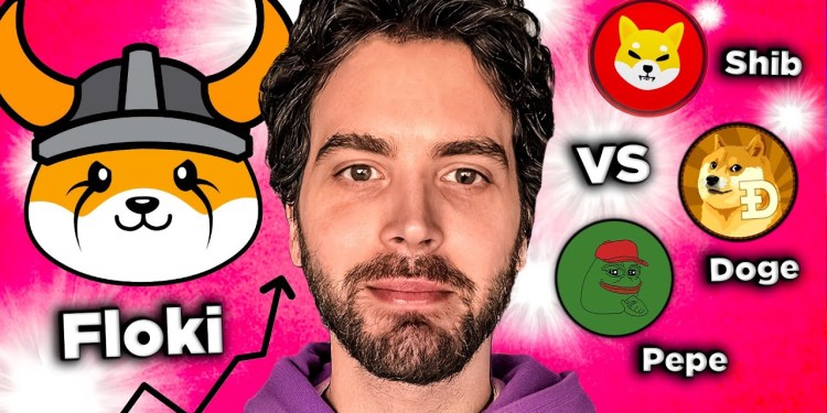 FLOKI is the next PEPE, SHIB and DOGE of this BULLRUN!? FLOKI is the next PEPE, SHIB and DOGE of this BULLRUN!?