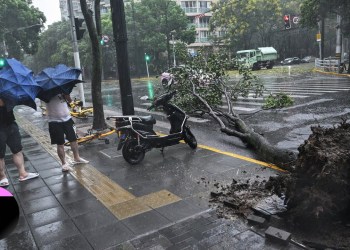 Counting China’s Economic Losses From Typhoon Bebinca Counting China’s Economic Losses From Typhoon Bebinca