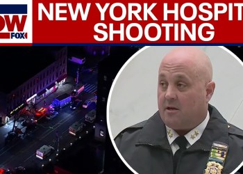 Suspect dead after barricade incident inside New York hospital Suspect dead after barricade incident inside New York hospital
