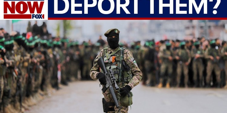 Hamas sympathizers will be deported from US, White House says | LiveNOW from FOX Hamas sympathizers will be deported from US, White House says | LiveNOW from FOX