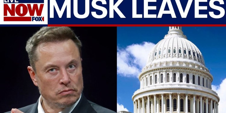 Analysis: Musk leaving role in Trump administration, DOGE Analysis: Musk leaving role in Trump administration, DOGE