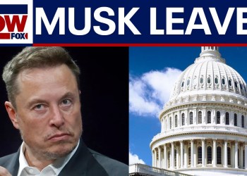 Analysis: Musk leaving role in Trump administration, DOGE Analysis: Musk leaving role in Trump administration, DOGE