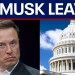 Analysis: Musk leaving role in Trump administration, DOGE Analysis: Musk leaving role in Trump administration, DOGE