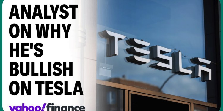 Tesla buyers must ‘believe’ in the vision: Analyst Tesla buyers must ‘believe’ in the vision: Analyst