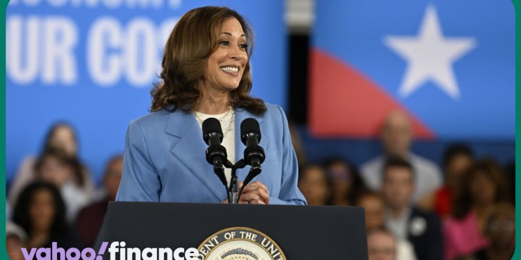 Harris policies tap into Americans’ economic worries: Economist Harris policies tap into Americans’ economic worries: Economist