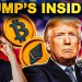 Trump’s Crypto Empire: What The Insiders Hold Trump’s Crypto Empire: What The Insiders Hold
