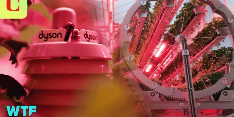 Look Inside Dyson’s New Circular Strawberry Farm Look Inside Dyson’s New Circular Strawberry Farm