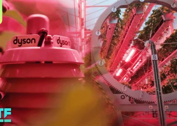 Look Inside Dyson’s New Circular Strawberry Farm Look Inside Dyson’s New Circular Strawberry Farm