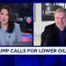 Struggling to find how ‘drill, baby, drill’ will work, says top oil analyst Paul Sankey Struggling to find how ‘drill, baby, drill’ will work, says top oil analyst Paul Sankey