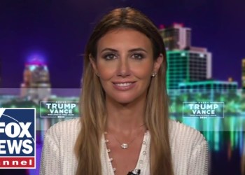 Alina Habba: Democrats ‘put us through hell’ Alina Habba: Democrats ‘put us through hell’