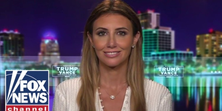 Alina Habba: Democrats ‘put us through hell’ Alina Habba: Democrats ‘put us through hell’